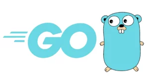 Le Interfacce in Go